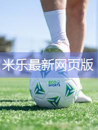 米乐M6官网:室内绳索蹦极健身