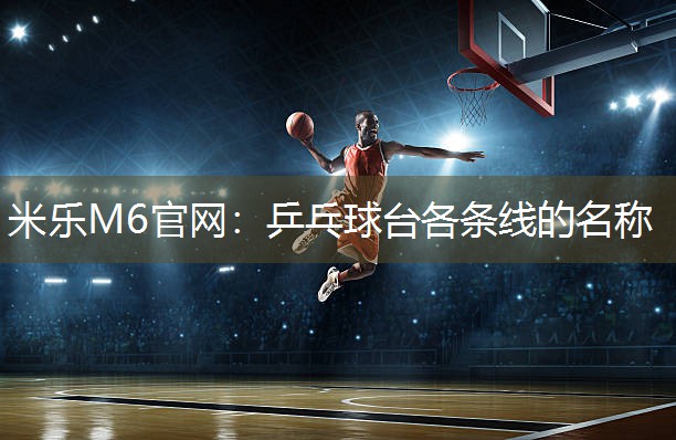 米乐M6官网:乒乓球台各条线的名称