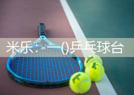 米乐:一()乒乓球台