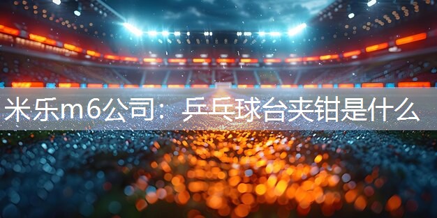 米乐m6公司:乒乓球台夹钳是什么