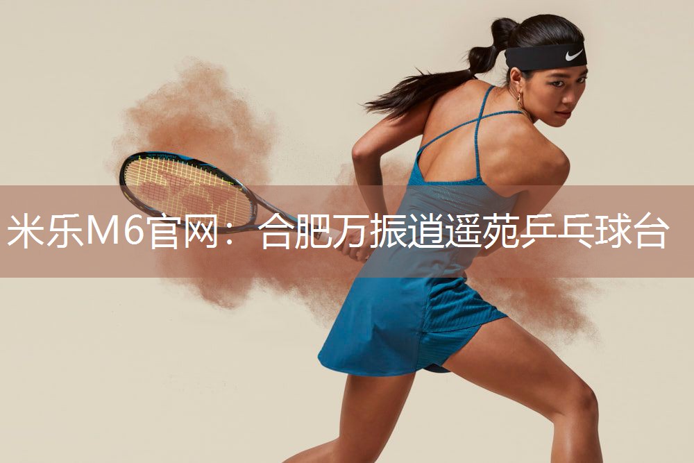 合肥万振逍遥苑乒乓球台